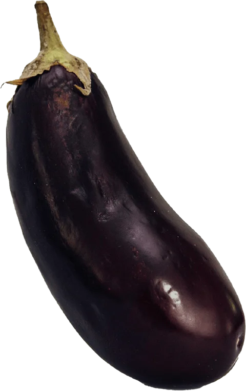Une aubergine